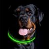 Blinking Flashing Pets Safety LED Adjustable Dog Collar